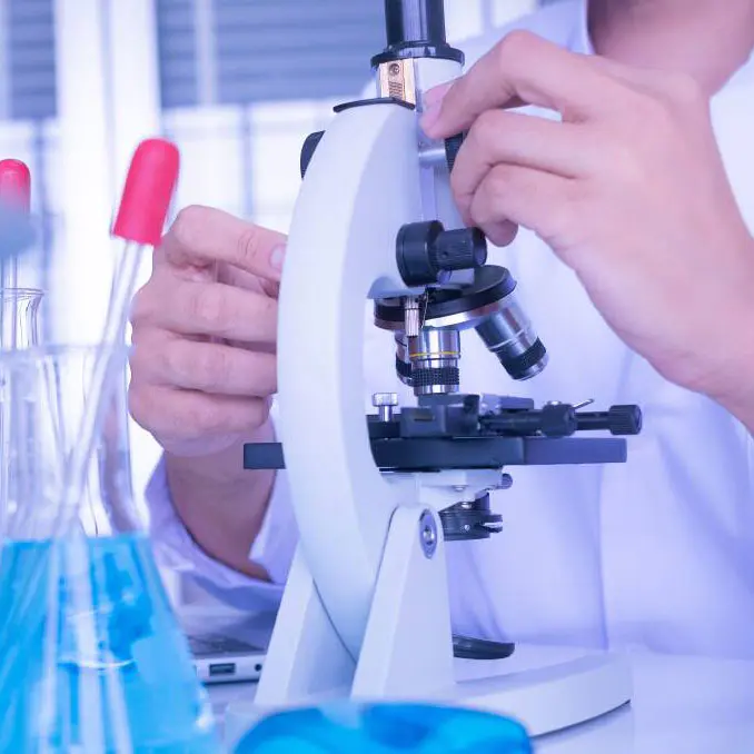 Productio processus cadmiae borate
